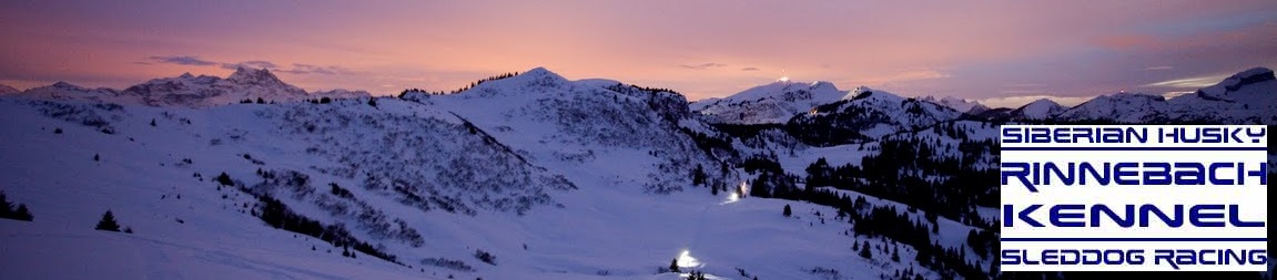 Berge_Transalp_Logo1